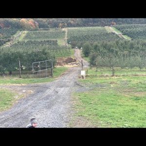 Meet your Posher, Jamie